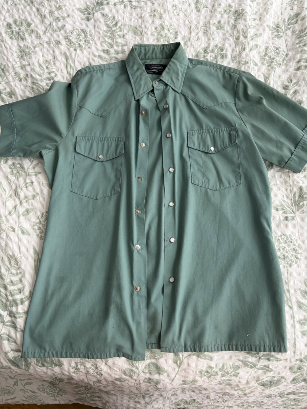 Hallmark Men's Button-Front Casual Shirt in Sage Green